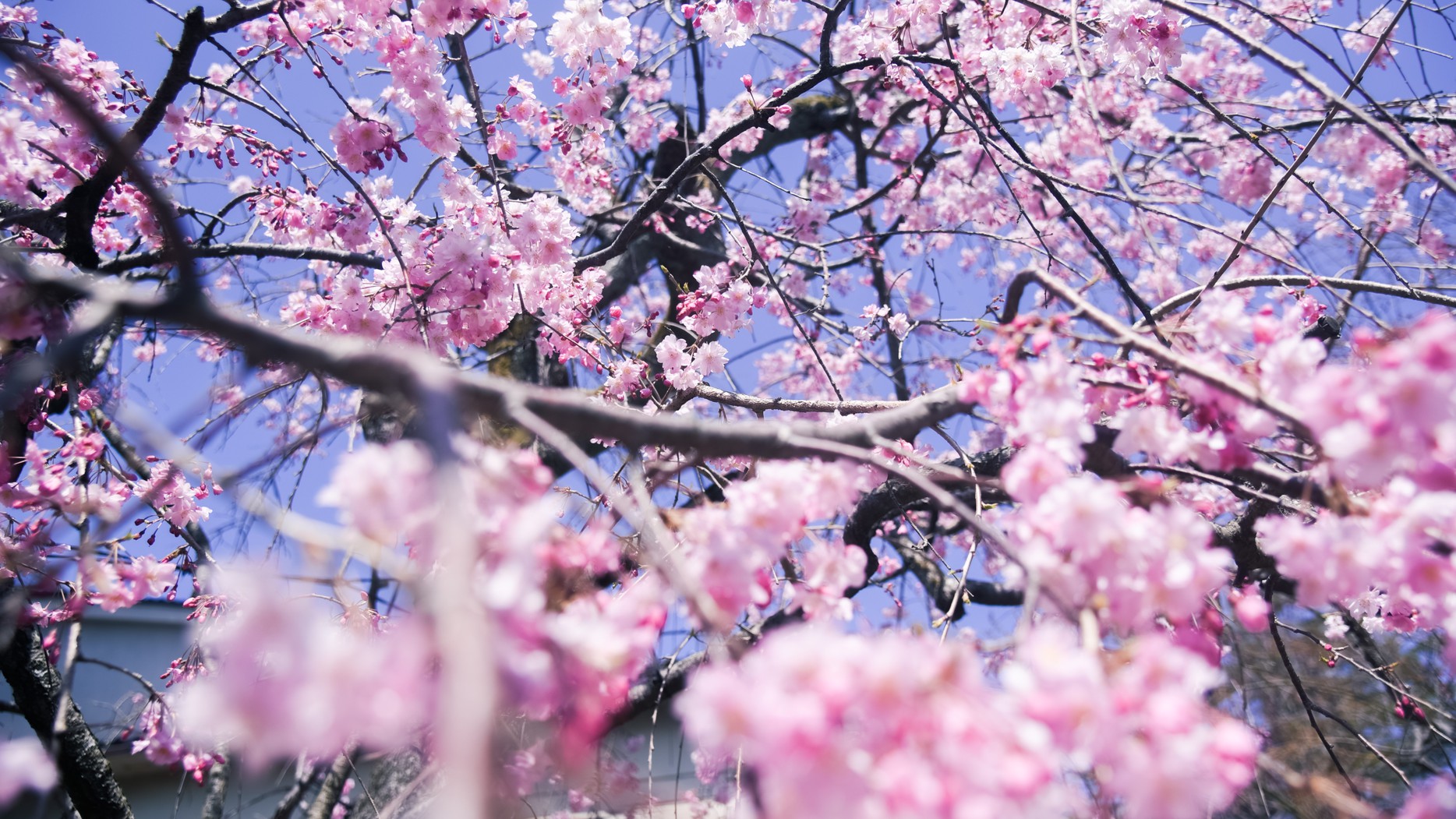 写真3