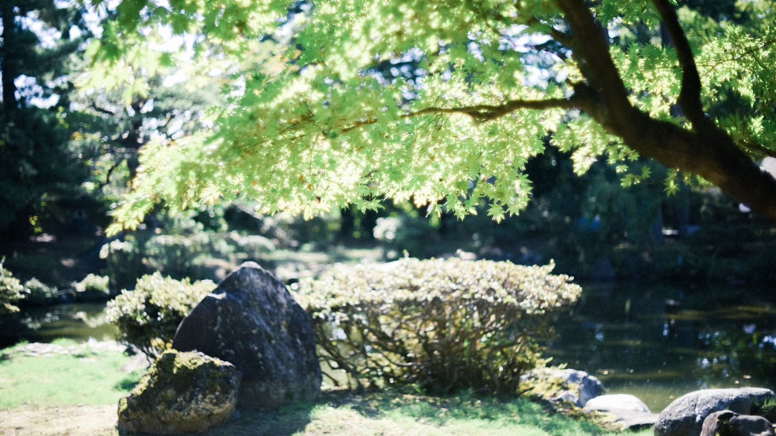 【素泊まりプラン】気軽にゆったり、旅館でのんびり。上杉謙信ゆかりの温泉で癒されて