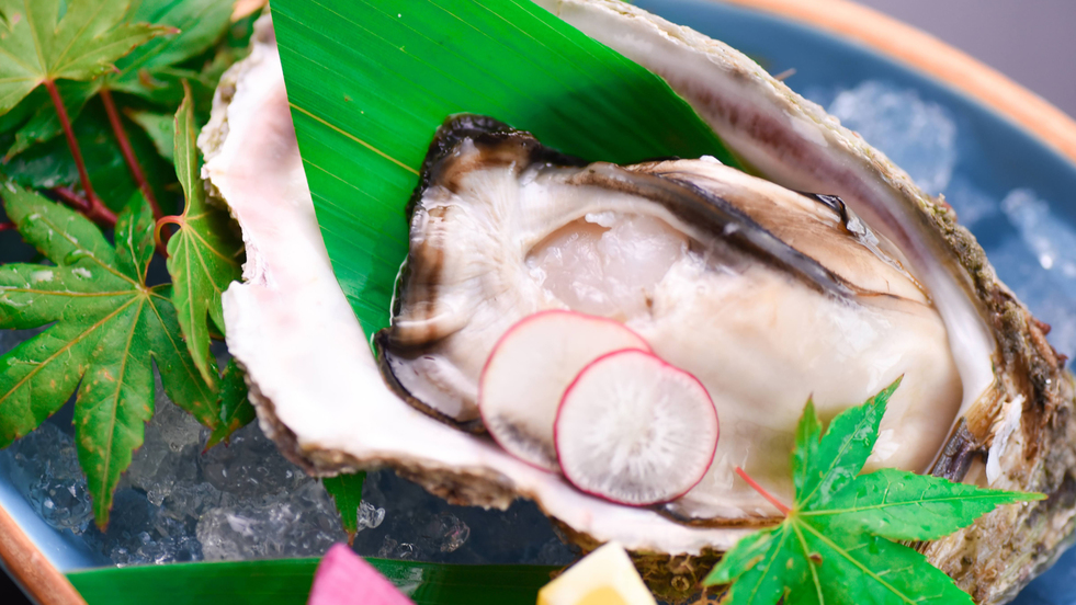 【富山県産岩ガキ会席】濃厚な海の恵みを生or蒸し焼き岩ガキ＆カキフライで味わう贅沢プラン【個室食】