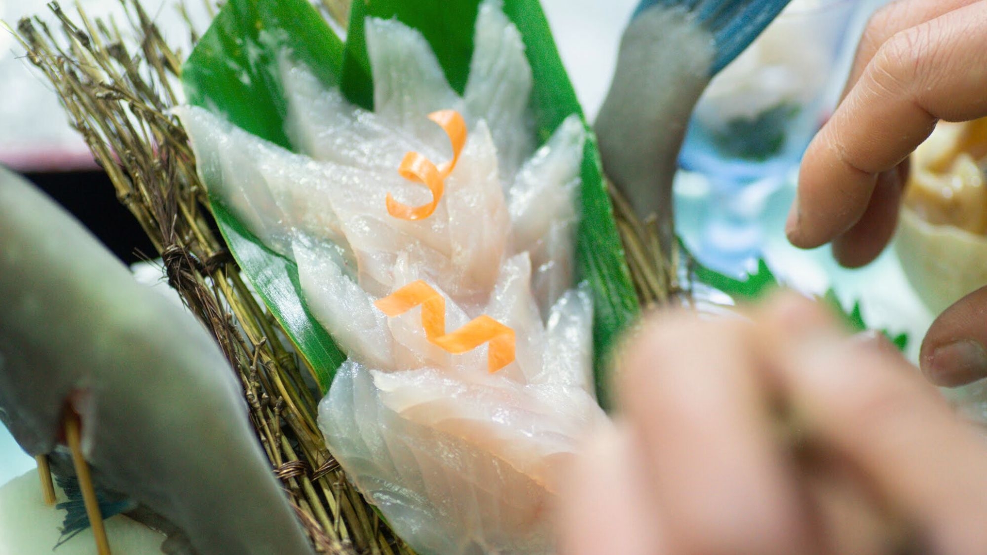 【冬季限定●カワハギ姿造り付】冬の富山湾の美味！透きとおる身と特製肝醤油のハーモニー【個室食】