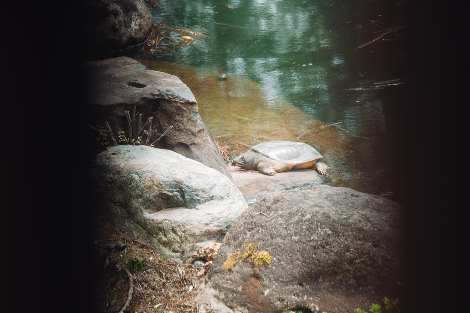 写真5