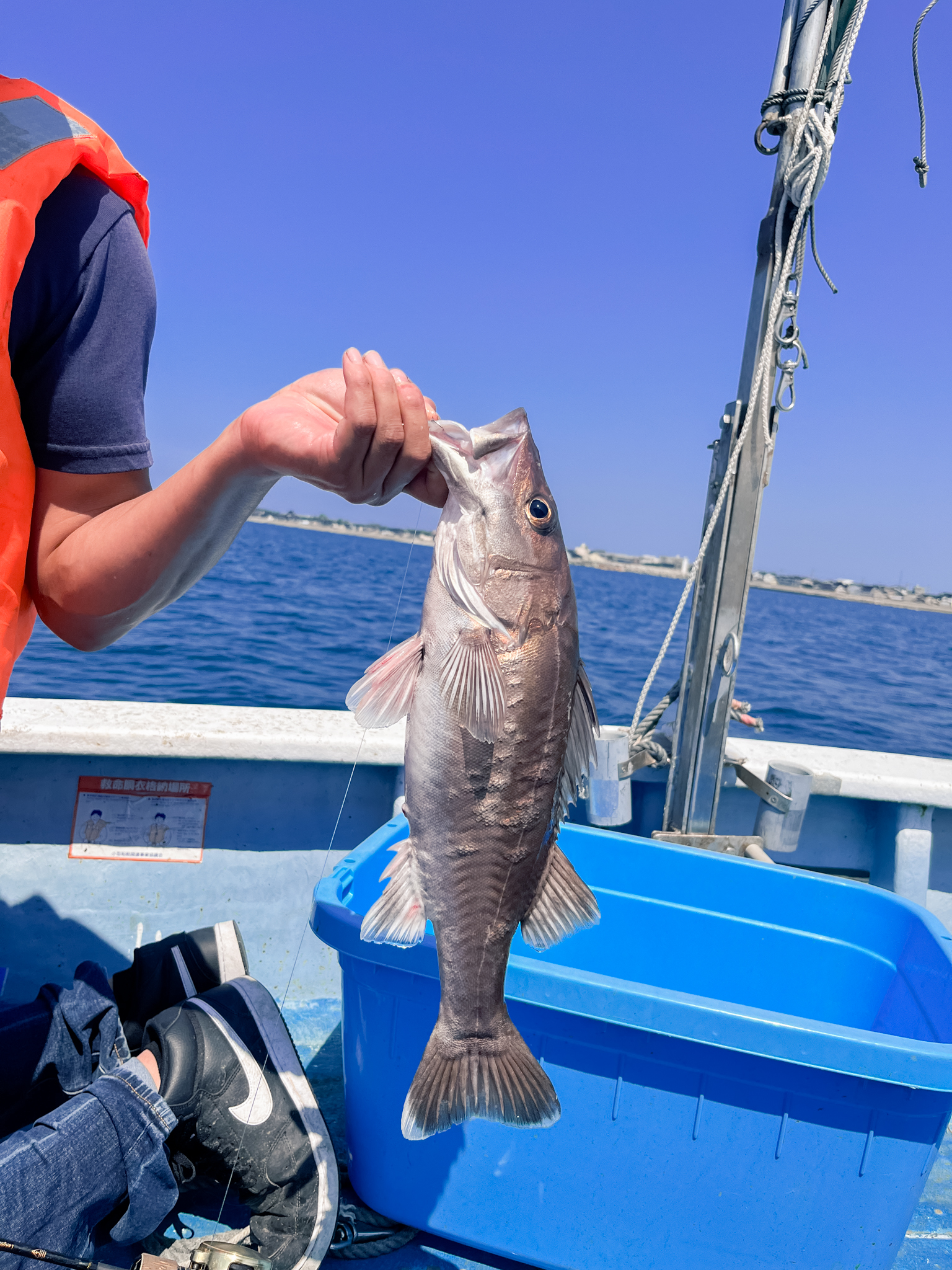 海へ仕入れに行く若旦那