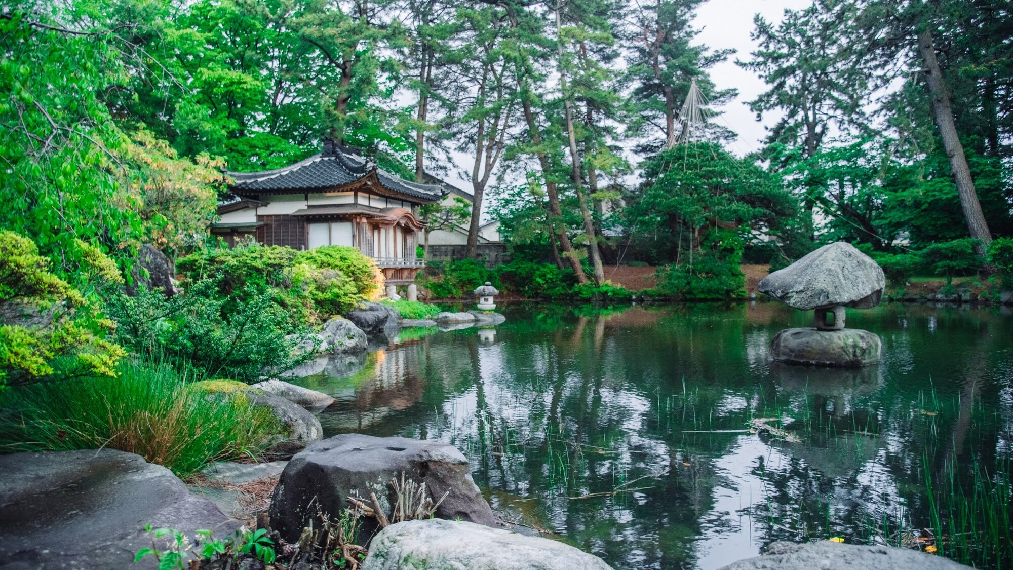 しっとりと雨に濡れた庭も、緑が際立ち美しい表情を見せてくれます。