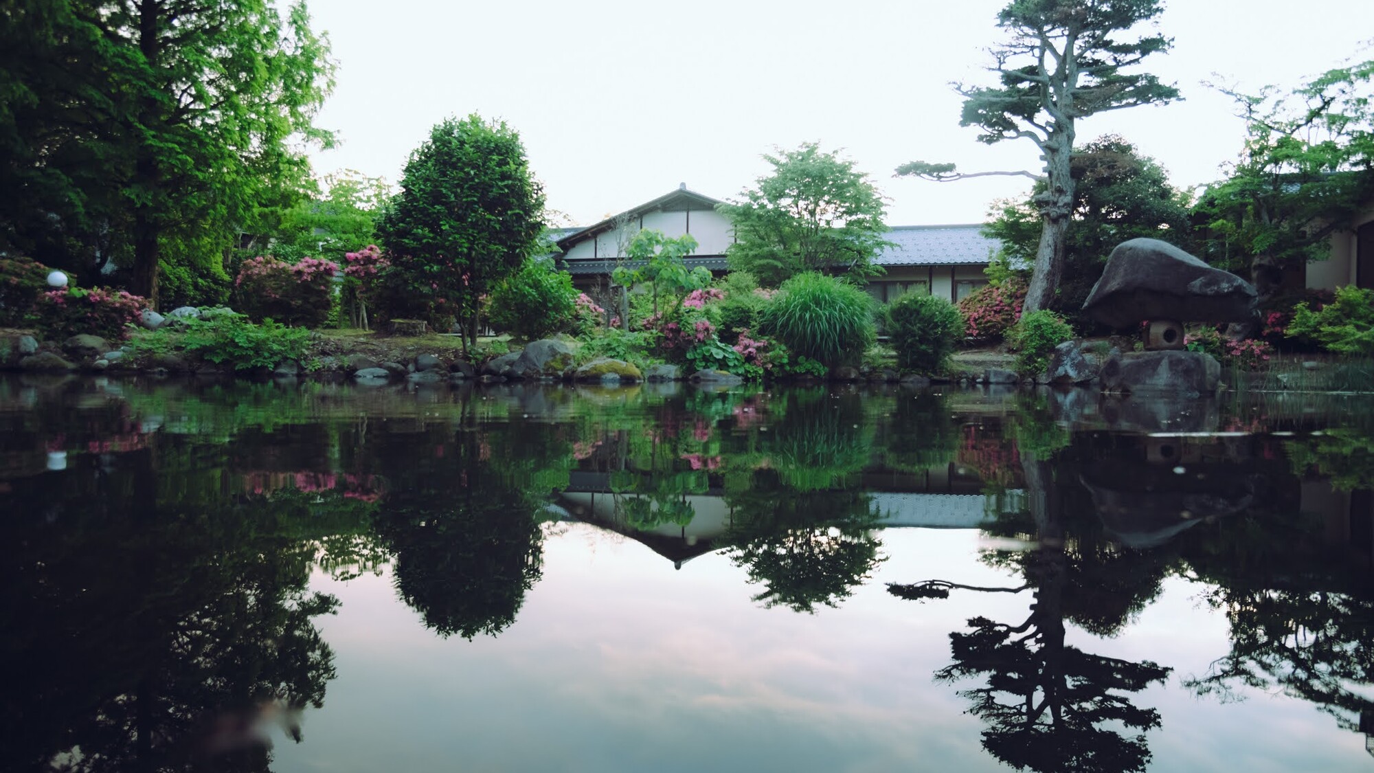 雨に潤う庭は、緑のコントラストが際立ち、格別の趣があります。