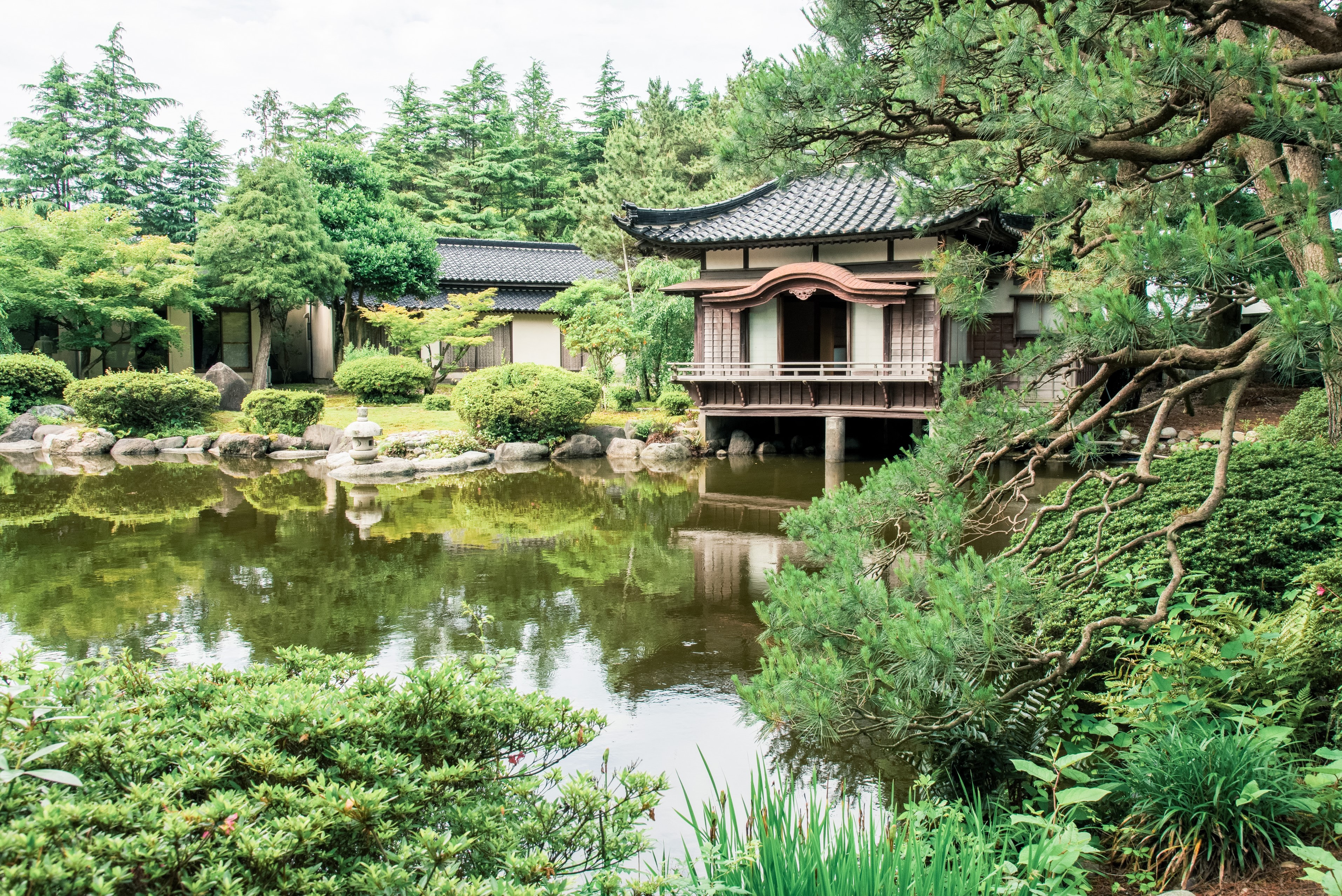 5千坪の日本庭園。
