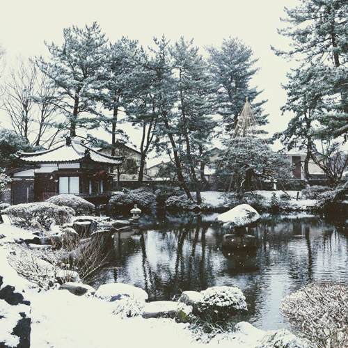 冬の庭園。寒いので暖かくして散策してくださいませ。