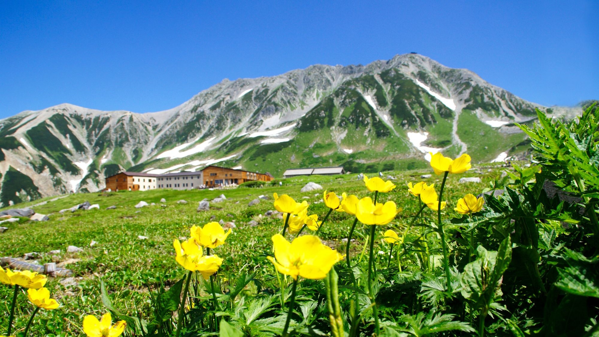 立山の風景