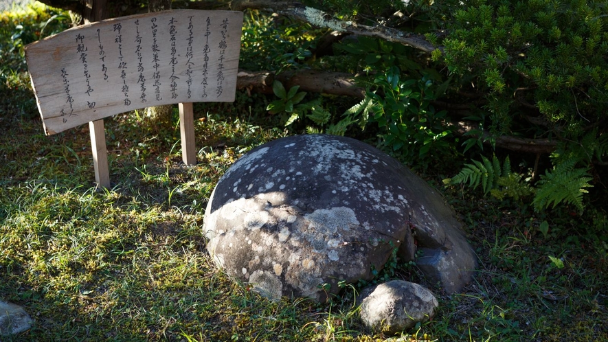 庭の亀石