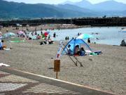 写真6