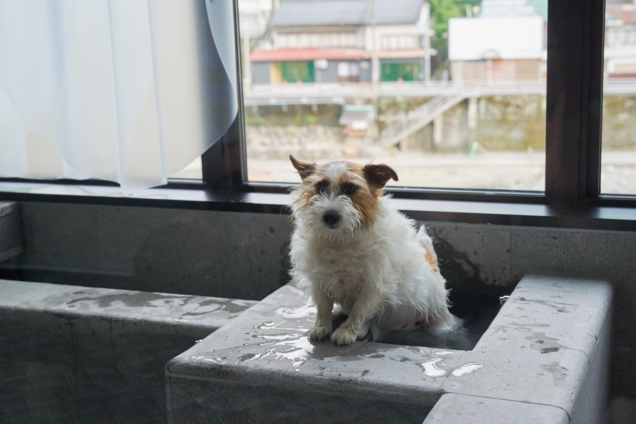 写真3