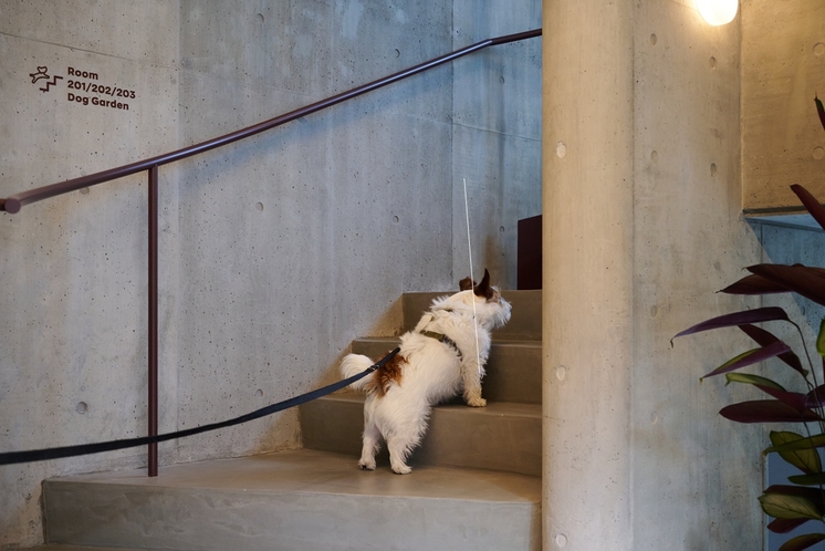 客室写真