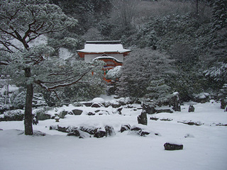 雪化粧の石庭