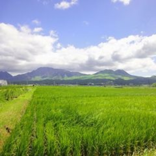 阿蘇五岳2012年8月撮影