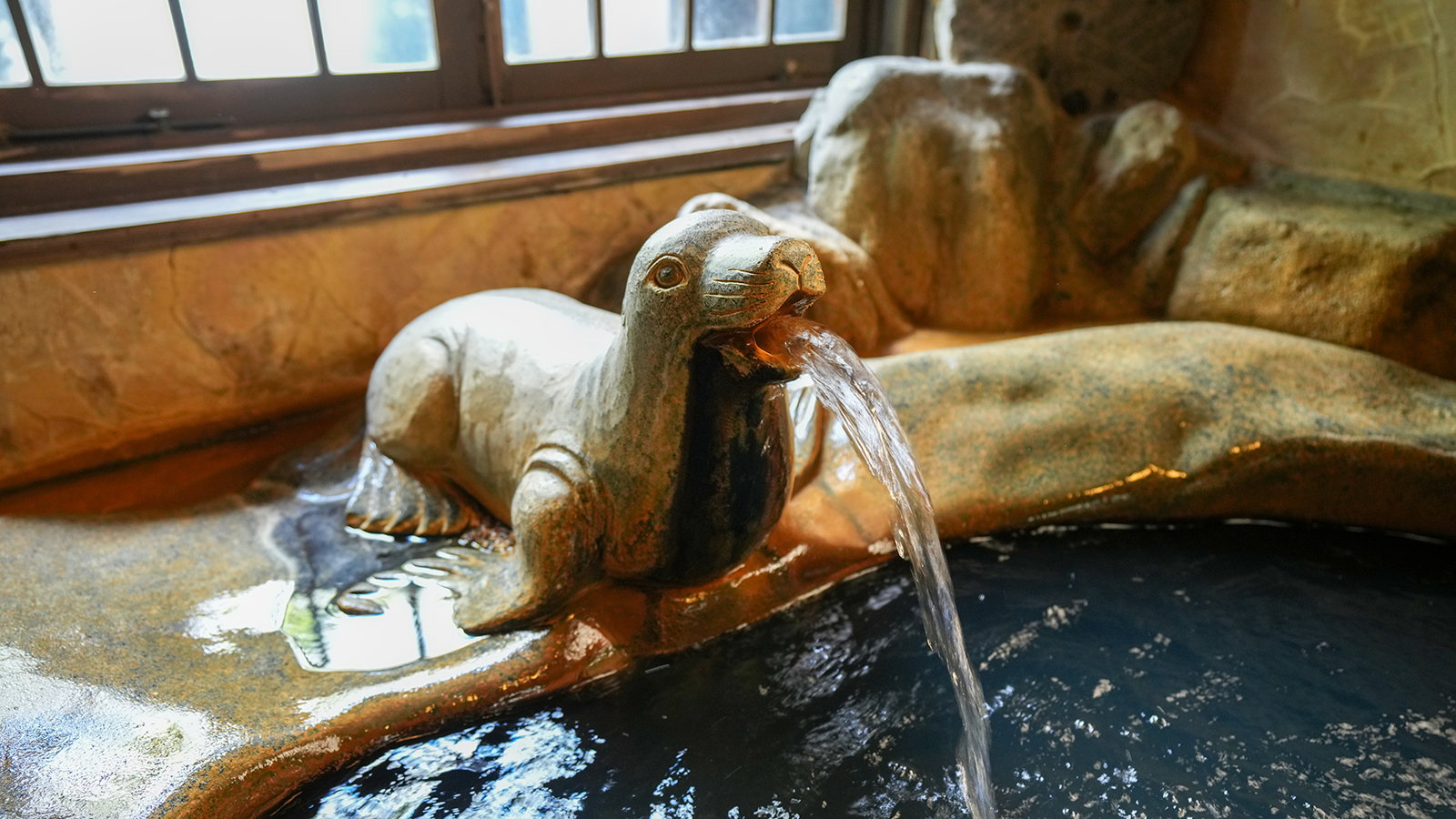 【タマちゃん】５つの家族湯