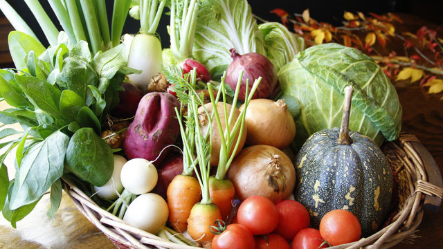 自家農園で栽培している野菜をふんだんに使った【創作会席】を食事処でお楽しみ下さい♪