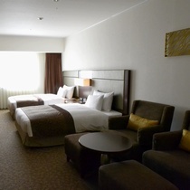 Deluxe Twin Room (33㎡)