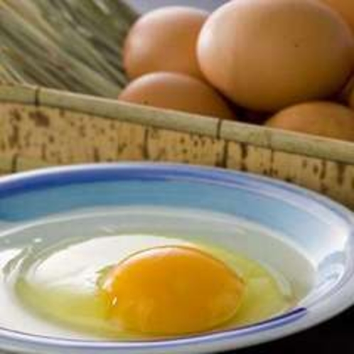 朝採れ卵