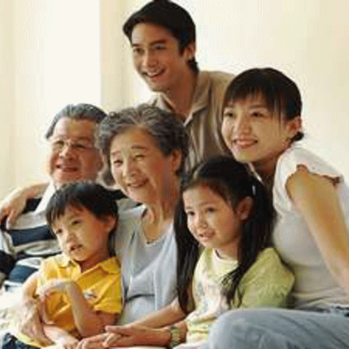 3 Generation Plan