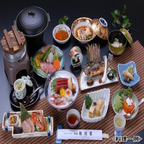 An example of a dish