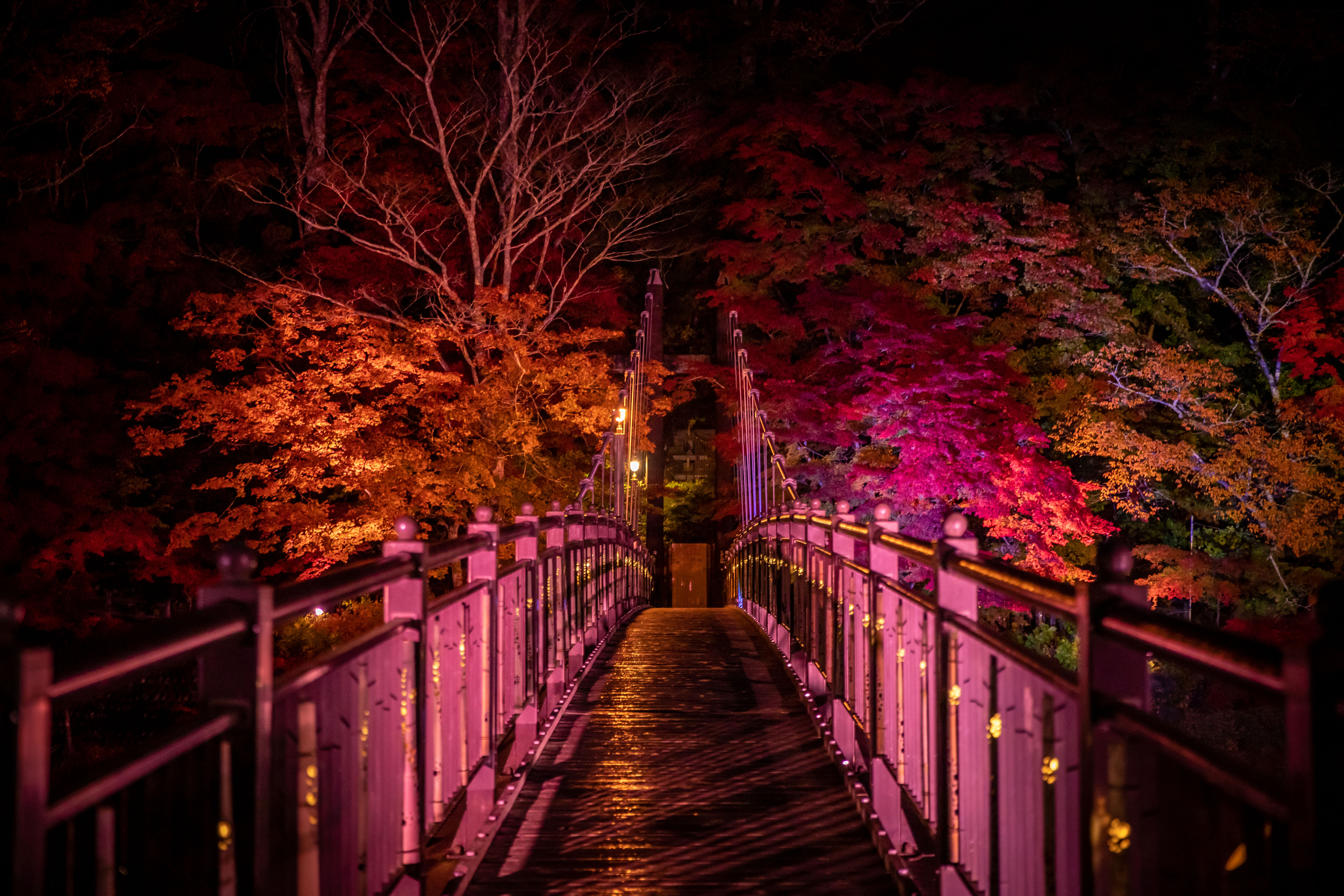 紅の吊り橋