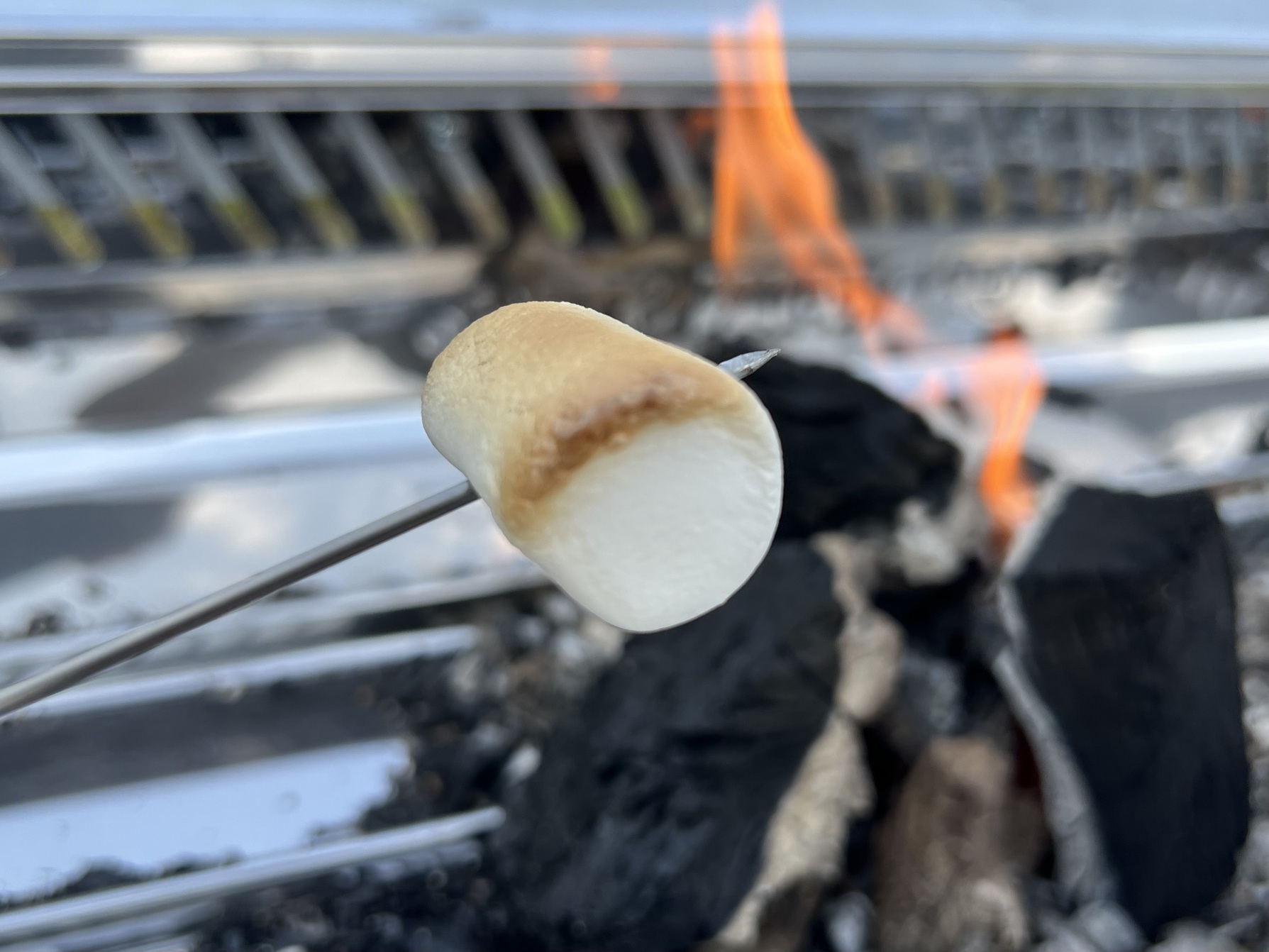 ●平日限定【こども料金がお得】BBQ食材　ふぁみりい旅