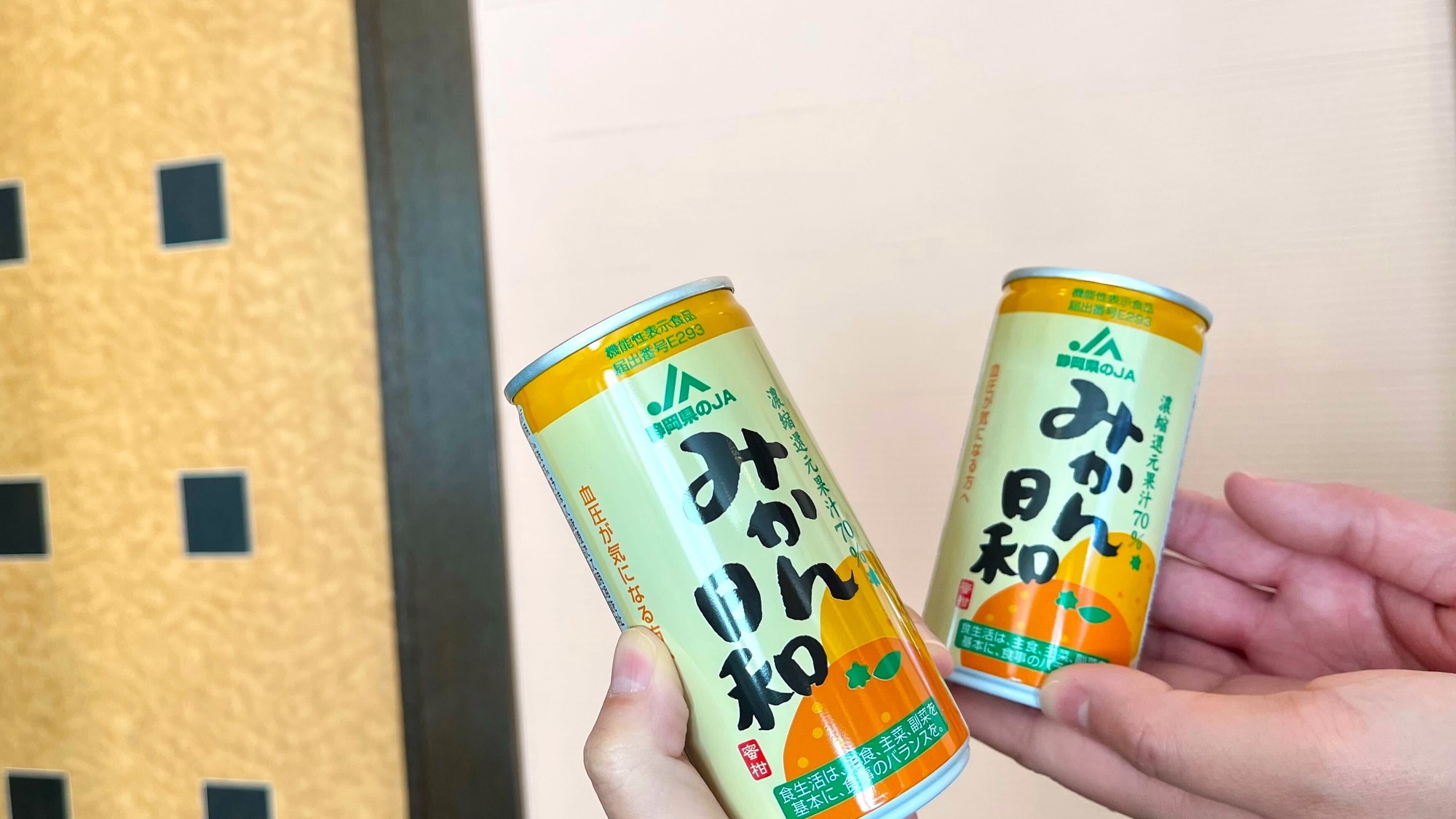 【年末年始帰省プラン】夕食は実家で家族と♪宿泊はホテルでゆっくり♪＜朝食付き＞快適静岡ステイ