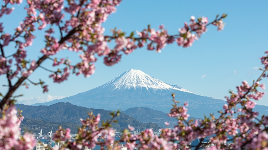 富士山と日本平の桜