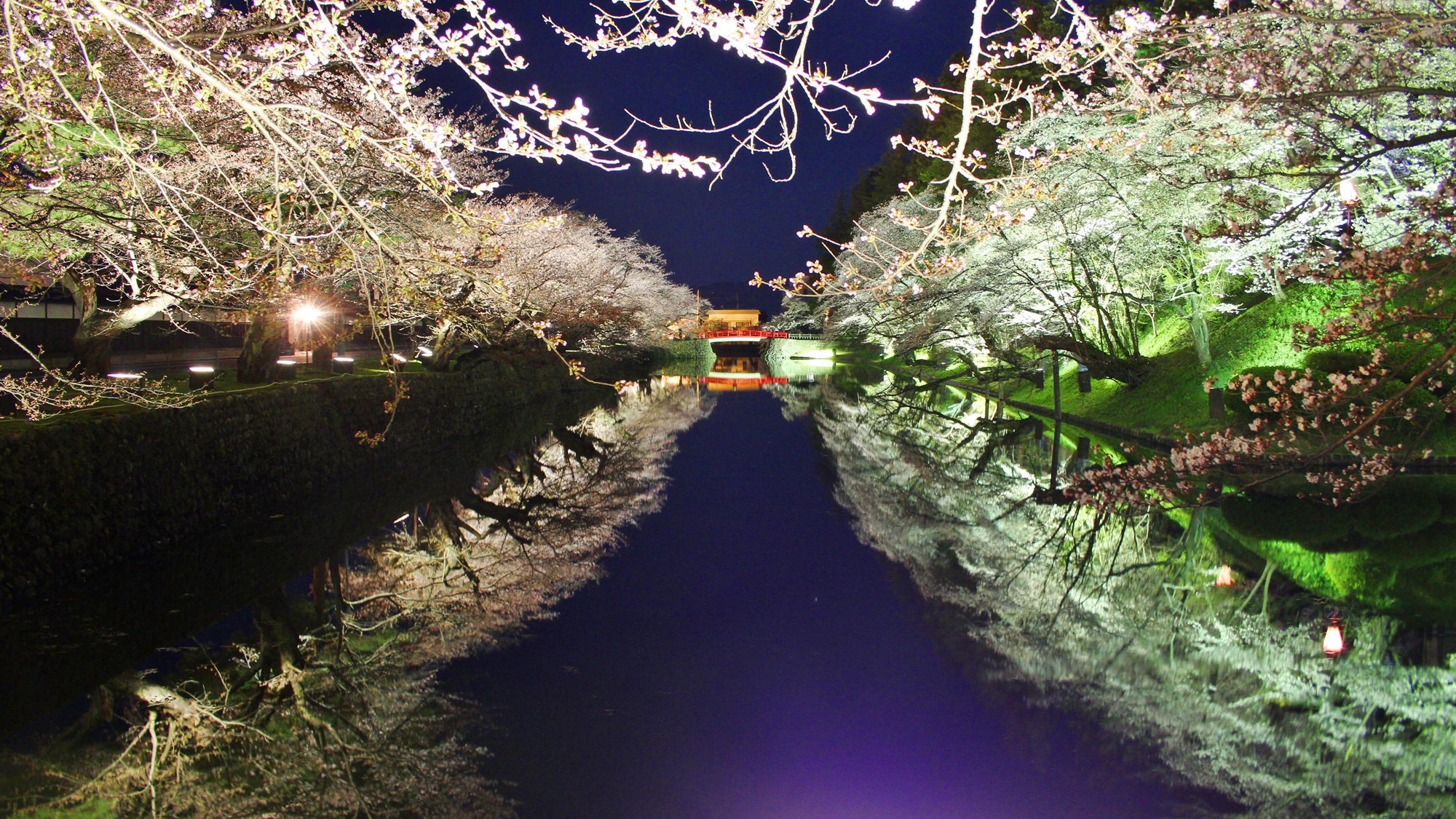 【周辺観光スポット】桜の時期の人気スポット、上杉神社の夜桜ライトアップ☆