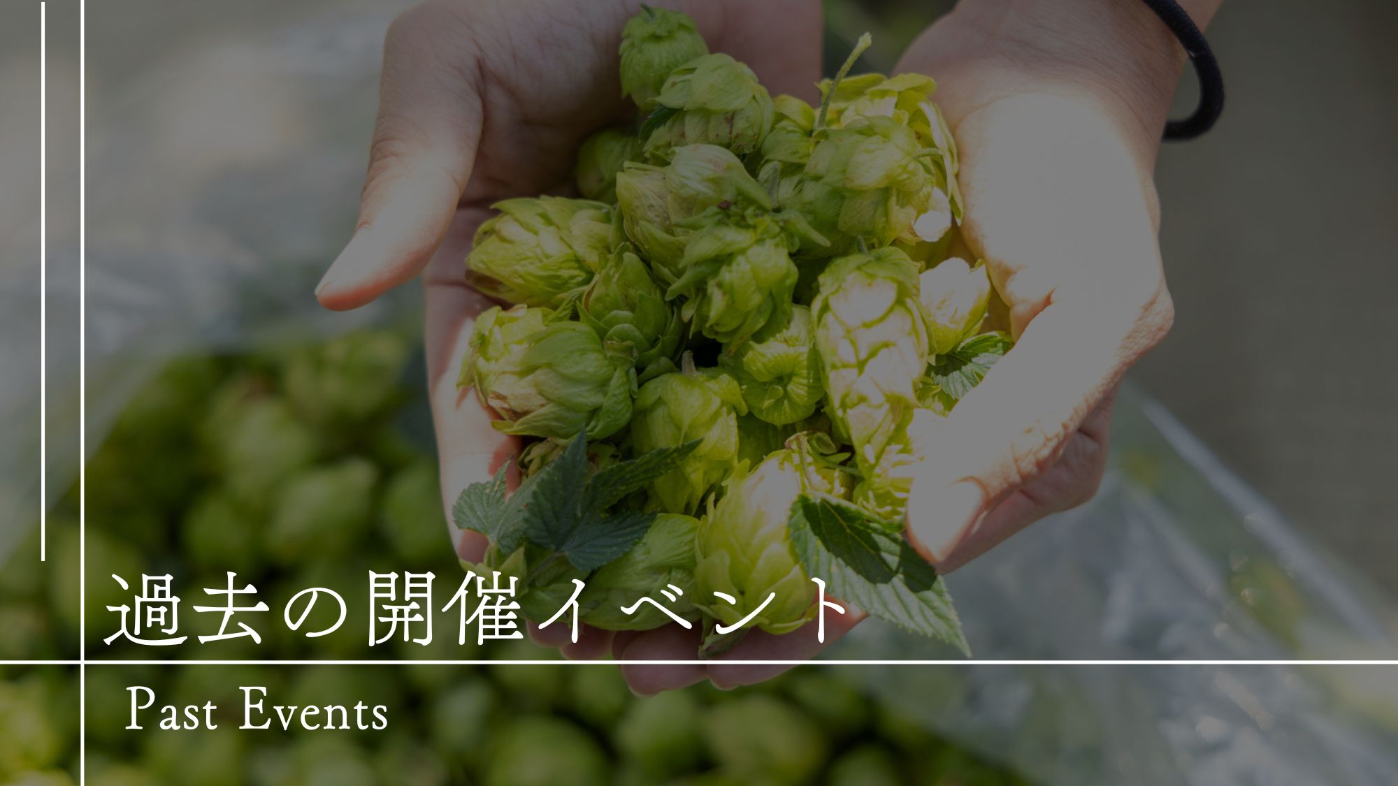 【過去の開催イベント】