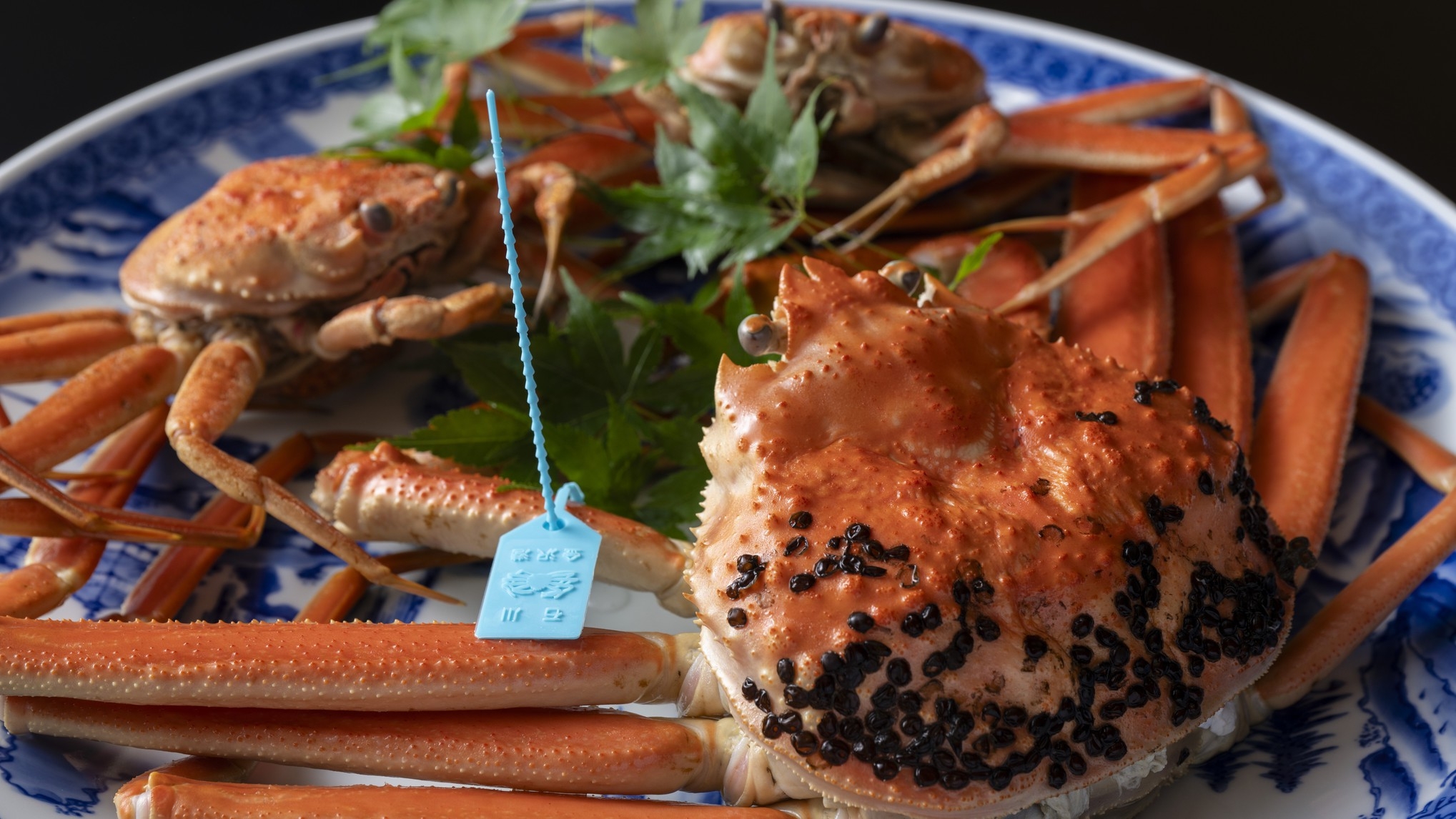 【ずわい蟹１杯付】冬の王様！『活ズワイ蟹』を贅沢に堪能《夕食・朝食お部屋食》