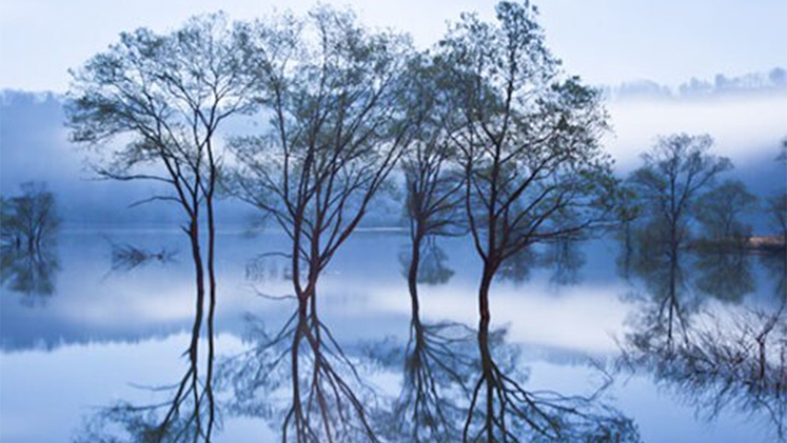 *［春／水没林］朝霧の中の「水没林」は幻想的でドローン撮影のために海外のお客様もくるほど！