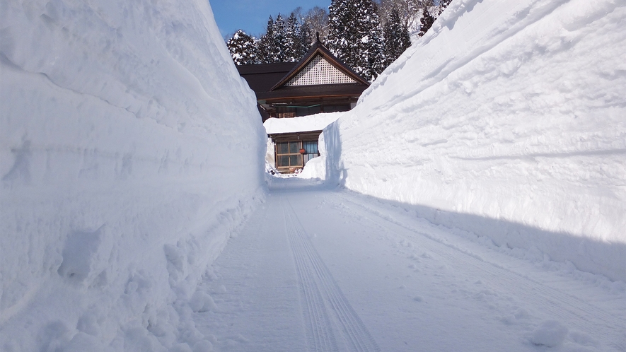  *冬の玄関はこんな感じ♪雪の壁を楽しみながらご来館下さい！