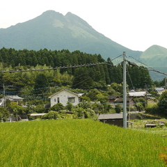 由布岳テラス