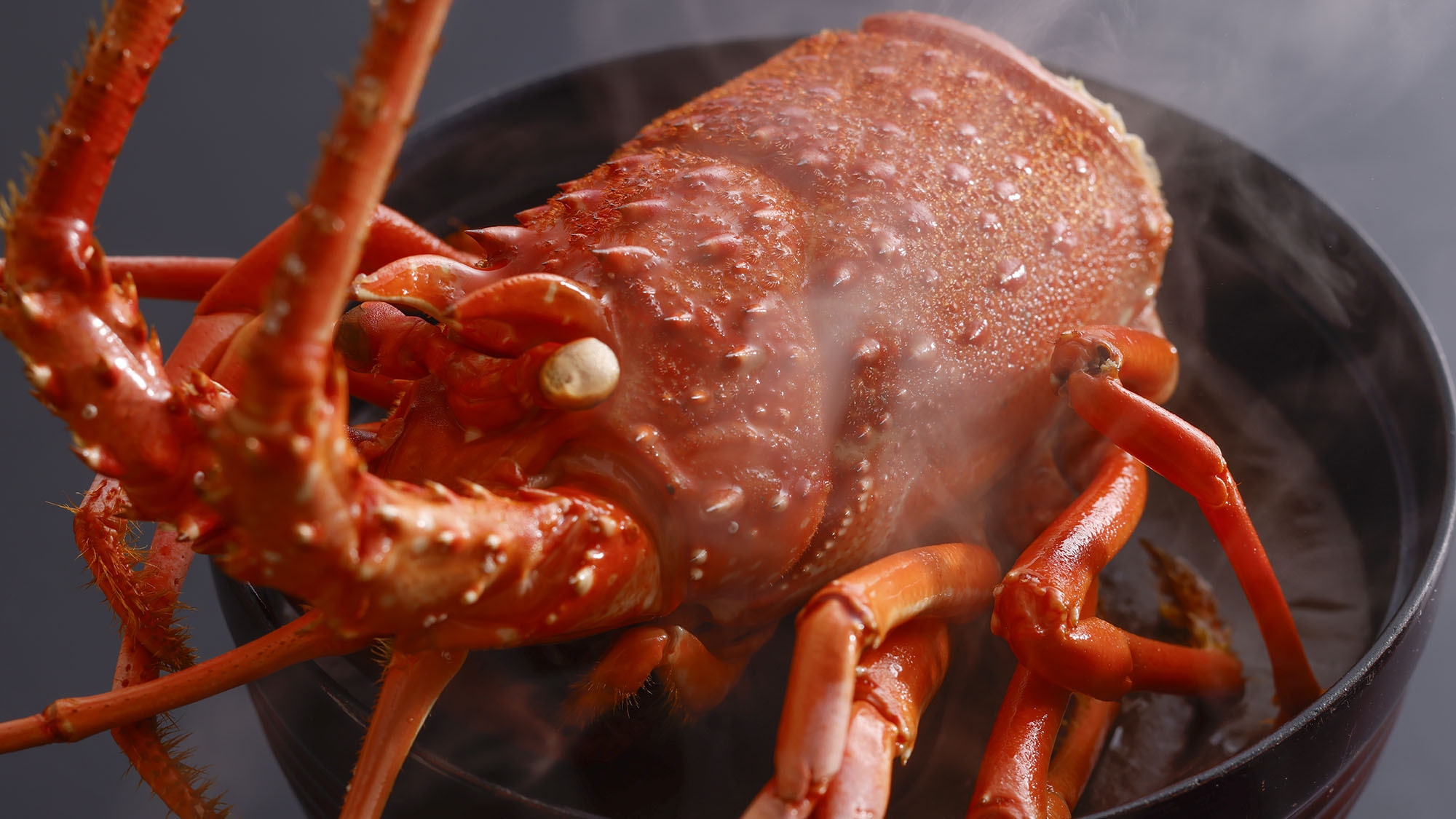 【旬彩美膳】伊勢海老と姫路和牛がメイン！匠の技が冴える「上質会席」