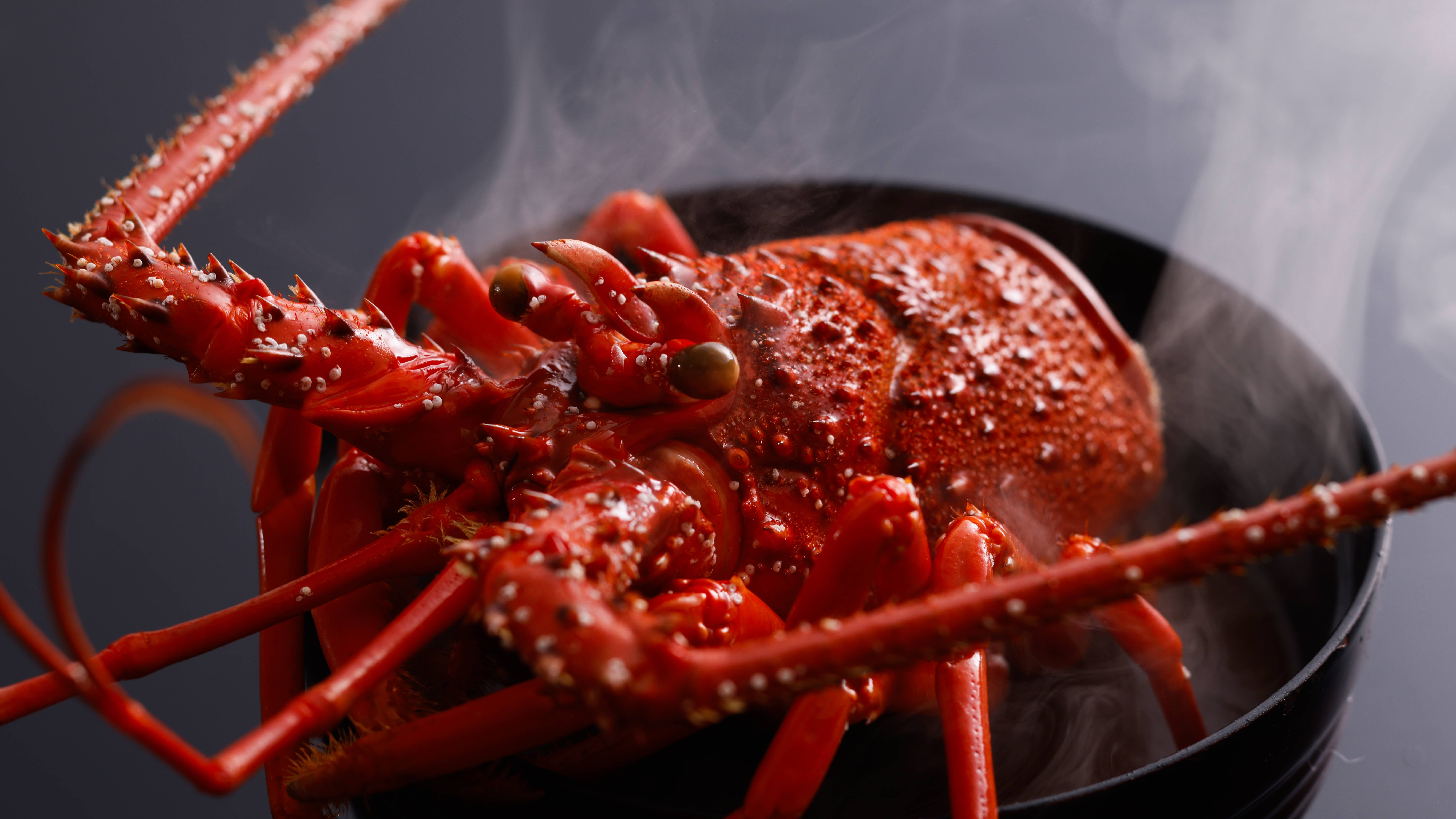 2025年 春季 量より質会席 留椀