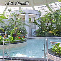 緑豊かなジャングル温泉で10種類のお風呂をお楽しみいただけます。
