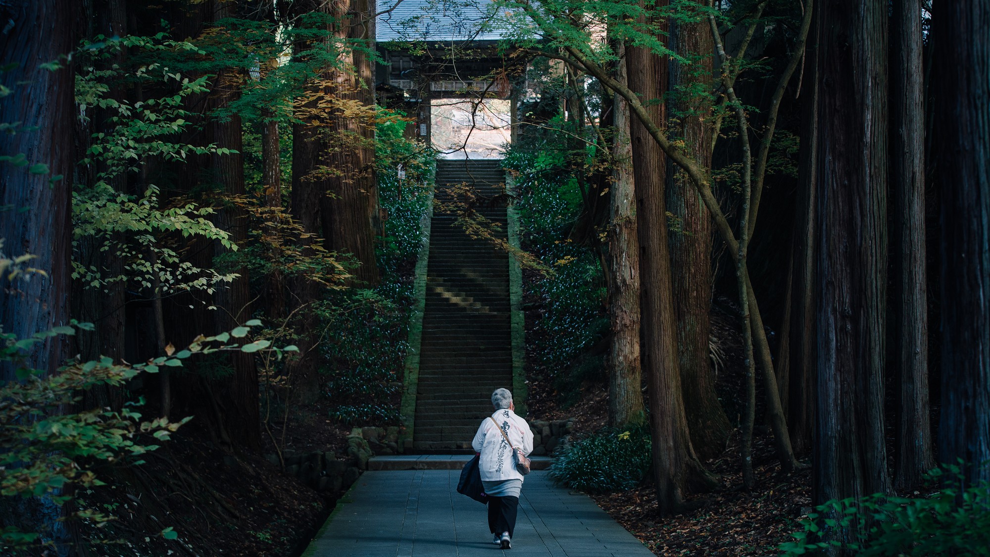 ■安楽寺　別所三楽寺のひとつ、国宝に指定されている八角三重塔が有名。当館より徒歩５分