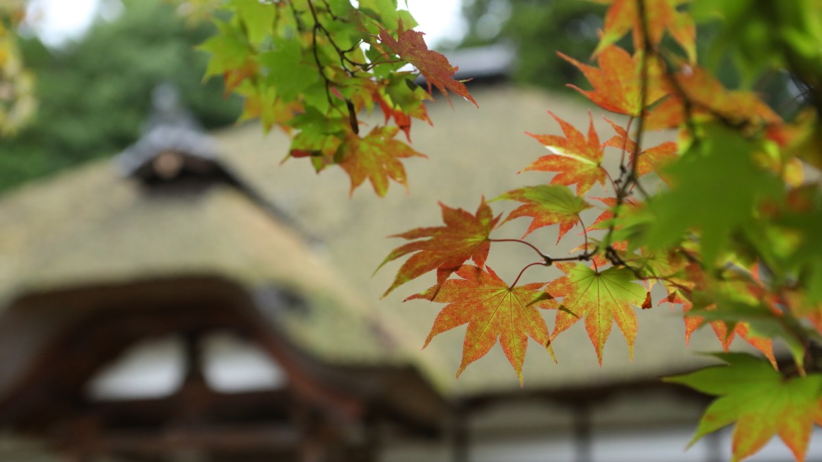 ■四季折々の美しさが楽しめる別所温泉