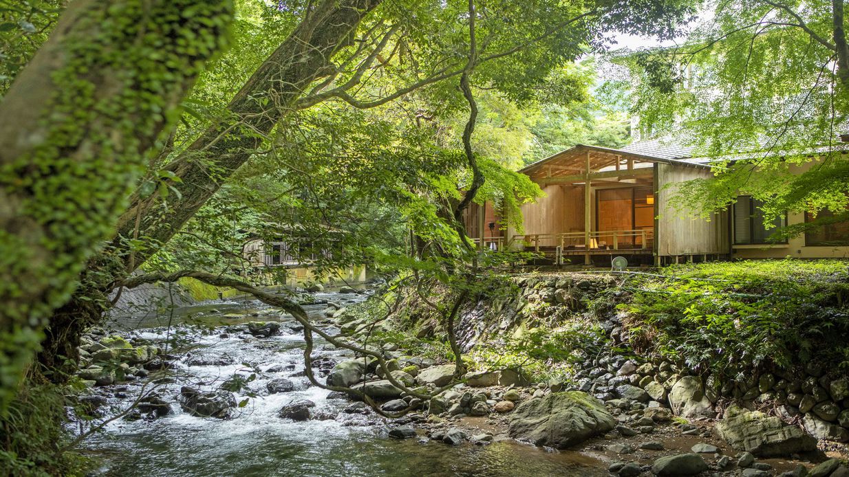 河津七滝 渓流温泉茶寮 水鞠（MIZUMARI）（旧：旬彩つりばし