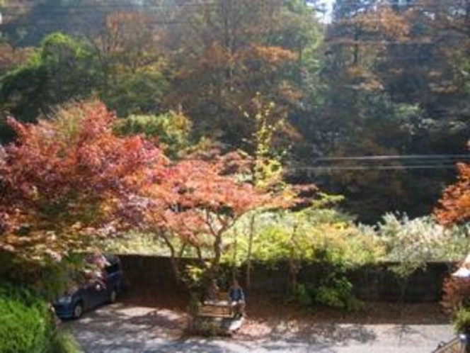 当館からの景色