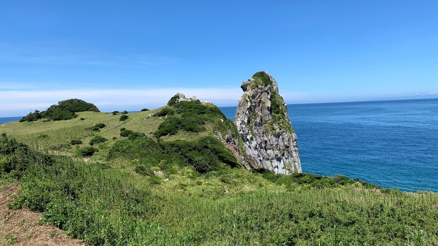 *【猿岩】黒崎半島の先端にある壱岐のシンボル猿岩。そっぽを向いた猿に見えるという、有名な観光地！