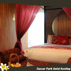 スーペリア(イメージ写真）