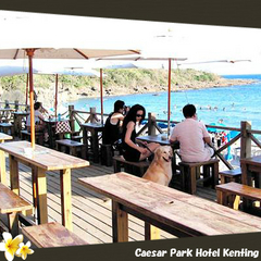 館内ビュー(イメージ写真）