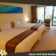 ファミリーデラックス(イメージ写真）