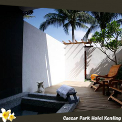 ジャグジーヴィラルームプールビュー(イメージ写真）