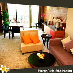 デラックススイート(イメージ写真）