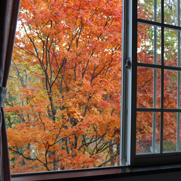 Guest room windows during the fall foliage season