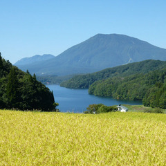 秋の野尻湖と田園