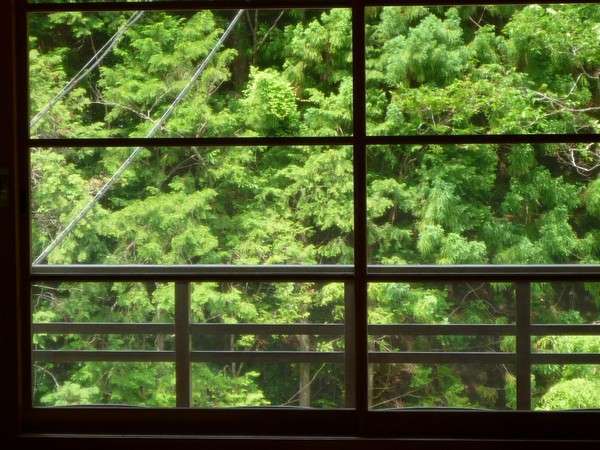 View of the mountain on the opposite bank from [New Building Japanese-style room]