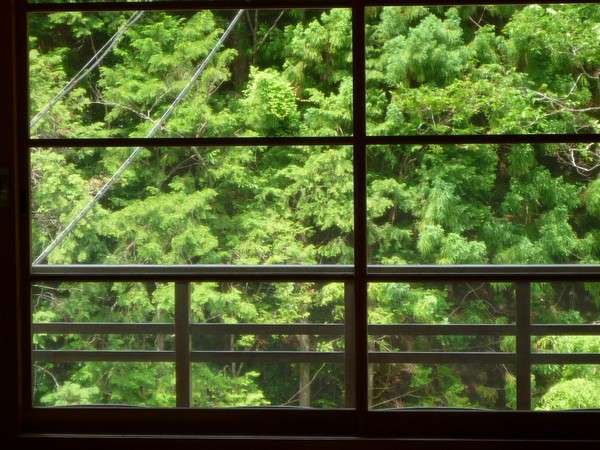 View of the mountain on the opposite bank from the New Wing Japanese-style Room